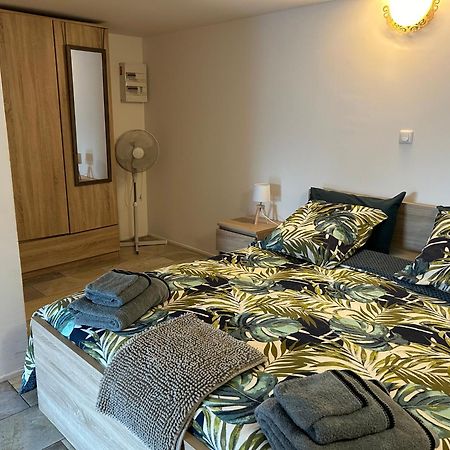 Lake House St Pee Sur Nivelle Saint-Pée-sur-Nivelle المظهر الخارجي الصورة